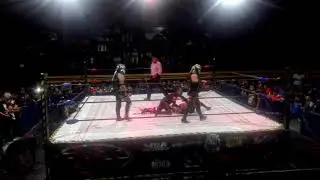 Las tortugas negras sorprenden a sus rivales(arena naucalpan 20-feb-19)