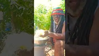 health benefits of corn 🌽 silk