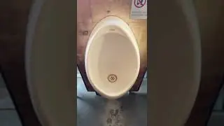 Incredible bathroom break in Ensenada