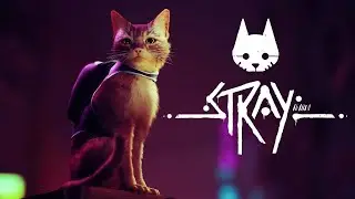 STRAY FULL  GAMEPLAY || STRAY GAME VIDEOS || STRAY KASE KHELE || HOW TO DOWNLOAD FREE STRAY PC