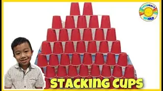 STACKING CUP GAME | FALLING CUP TOWER CHALLENGE | SHOOT THE BALL | FIND THE BALL CUP CHALLENGE