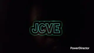 В ловушке