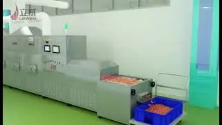 Liwei microwave heating tunnel furnace, fast food reheating equipment