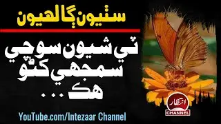 Sindhi Quotes | Motivational Quotes In Sindhi | 3 Shayon Sochy Samjhy | Sindhi Qol