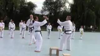Taekwon-Do Center Hanau Vorf&uuml;hrung auf dem 55. Hanauer B&uuml;rgerfest