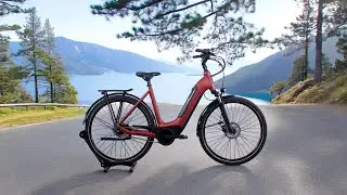 Review V&eacute;lo &eacute;lectrique Winora Tria 8 Eco LOEWI