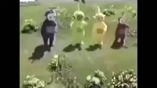 Dummes Video