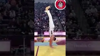 Magic of Dog 🐕#flying #tranding #subscribe #magic