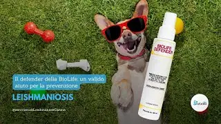 Il defender della BioLife: un valido alleato per la prevenzione