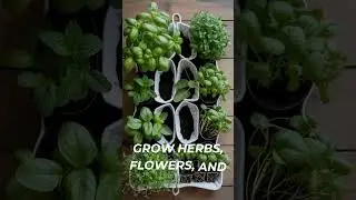 DIY Hanging Shoe Organizer Garden