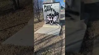 Pink Panther Graffiti in Baltimore  City