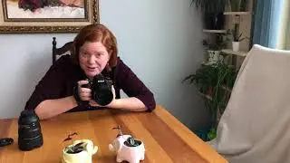 Getting Better Bokeh : How to create the most beautiful blurry backgrounds.