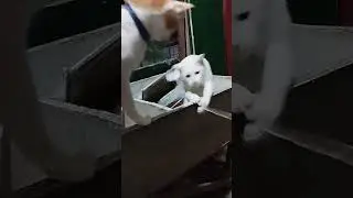 tempo di gioco