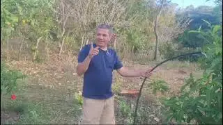 SE DESERTARON 2 COMBATIENTES DE LA COLUMNA DEL &ldquo;NEGRO&rdquo; ALEX
