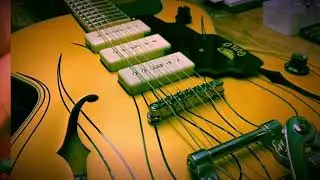 Guild Starfire 1 Jet90 Tone Master Twin Reverb Kinnatone Crybaby wah