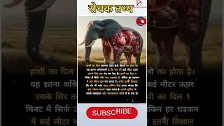 रोचक तथ्य64 #song #music #viral #shorts #trending#facts #reels