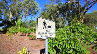 BUNDABERG REAL ESTATE AGENT - 8 crown court, Moore Park Beach - SCOTT WADE