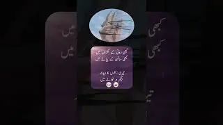 Urdu Quotes||#funny#unfrezzmyaccount#memes#jokesmemes#shorts#urdunovels#comedy#trendingUrdu