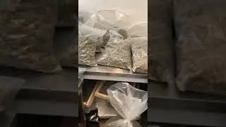 CannaGate - CBD Wholesale