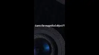 object in macro, quiz#shorts  macro funny video