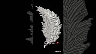 Texture paste painting. Drawing a feather on a canvas of putty. #texturedpainting #modernart #ideas
