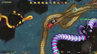 meow meow #4 | Little Big Snake Feeder Hunters
