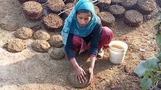 कंडे कैसे बनाए जाते है#funny #blog#trending #video 