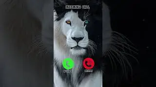 Best OPPO Mobile ringtone 🤙😎 #smartphone #ringtone #phonecall #ringtones #tech #video #audio