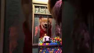 The Secret Life Of Pets: Off The Leash Ride Part 4 at Pets Place 1/11/2026