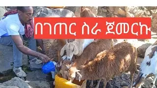 በገጠር ቆይታየ ይሄን ይመስላል👍🙏