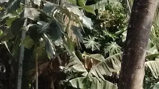 ഇത്തിരി നേരം നിൽക്കുമോ 💕