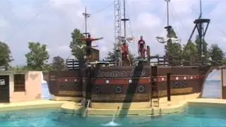 Zoo marine I tuffatori.mpg
