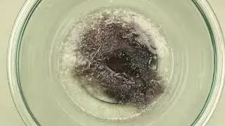 DISSOLVE Liquid Hair & Grease Clog Remover | Drain Opener | Drain cleaner | Toilet Clog Remover