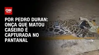 Onça que matou caseiro é capturada no Pantanal | CNN NOVO DIA