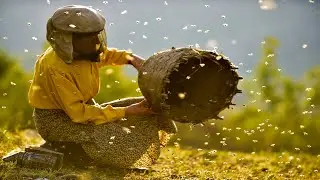 HONEYLAND pel&iacute;cula MACEDONIA con SUBT&Iacute;TULOS integrados EN ESPA&Ntilde;OL - 2019