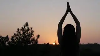Compassionate Tarot & Wellness for Personal Growth