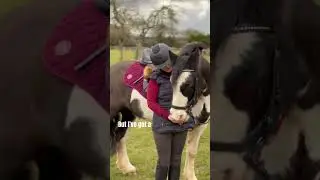 Mental health matters💜 #mentalhealthawareness #influencer #contentcreator #horseriding #equestrian