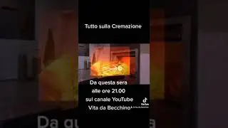 Dalle 21.00 video sulla cremazione.. Tutto quello che non sai sulla cremazione te li spieghiamo noi.