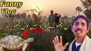 is Tortoise Ko Pata Nahi Kon Chor Gaya?.Vlog 74 |Layyah vlogs|اس کچھوے کو پتا نہیں کون چھوڑ گیا۔۔۔