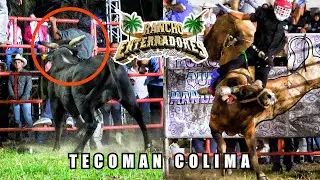 ¡ESTE TORO NO PERDONA A NADIE! RANCHO LOS ENTERRADORES ANTE UNA PLAZA LLENA EN TECOMAN COL 2026