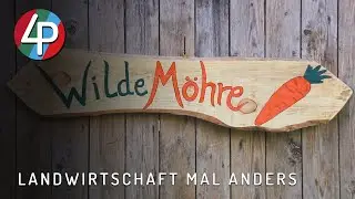 Die „WildeMöhre