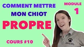 Module 1: 10- La propreté | EDUCATION CANINE GRATUITE AVEC CHRISTINA POTVIN