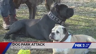 Dog attacks reported in Dutchtown; neighbors call for enforcement