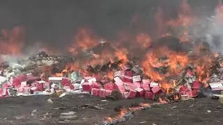 Plus de 09 tonnes de produits illicites, de stup&eacute;fiants et de drogues incin&eacute;r&eacute;s dans le Poro