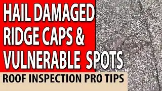 Hail damaged ridge cap & other vulnerable spots - 37922 Hail Damage to Roof from 2011