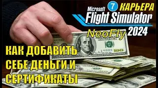 Microsoft Flight Simulator 2024 (карьера NeoFly)  - Как добавить себе деньги и сертификаты?