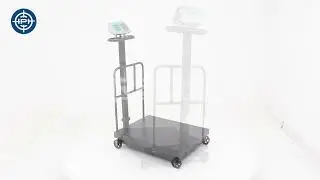 Balanza de Plataforma Kalery TCSF4+R de 600 Kilos