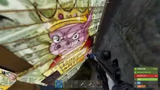 why you should always free look