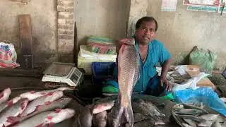 প্রতিদিন খুব ভোর থেকে সকাল বেলা গ্রামীণ মানুষ গুলো বাজারে সমাগম করে 
