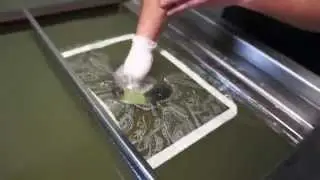 Silver Burton